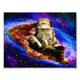 Impression Photo Space cat couché sur une pizza