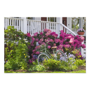 Impression Photo Spectaculaire floraison printanière, antiquité f