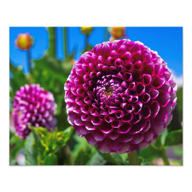 Impression Photo Sphérique (Devant)