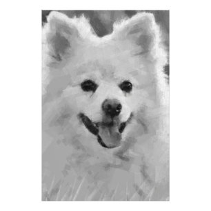 Impression Photo Spitz japonais