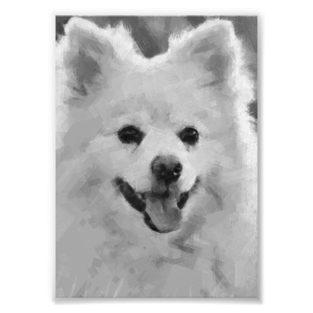 Impression Photo Spitz japonais (Devant)