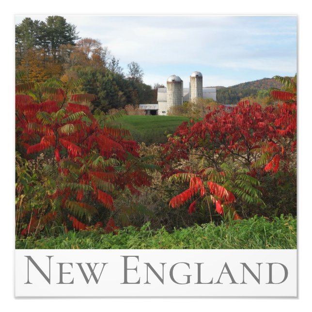 Impression Photo Splendor d'automne Nouvelle-Angleterre Couleurs d' (Devant)