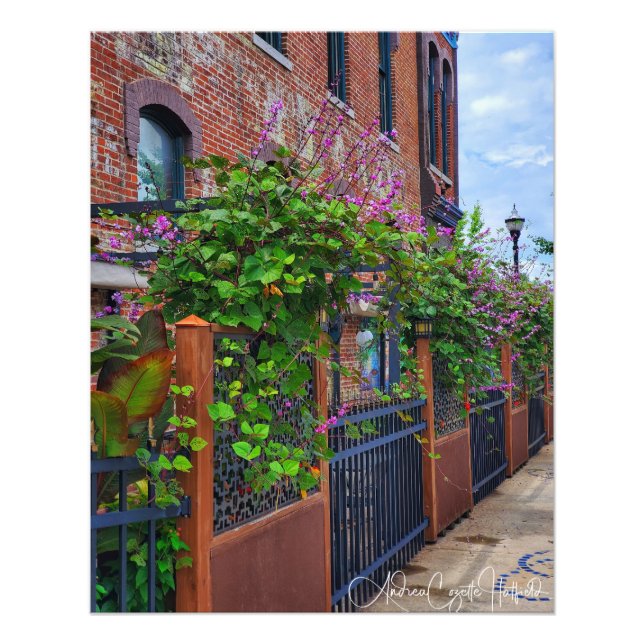 Impression Photo Springfield Missouri Street (Devant)