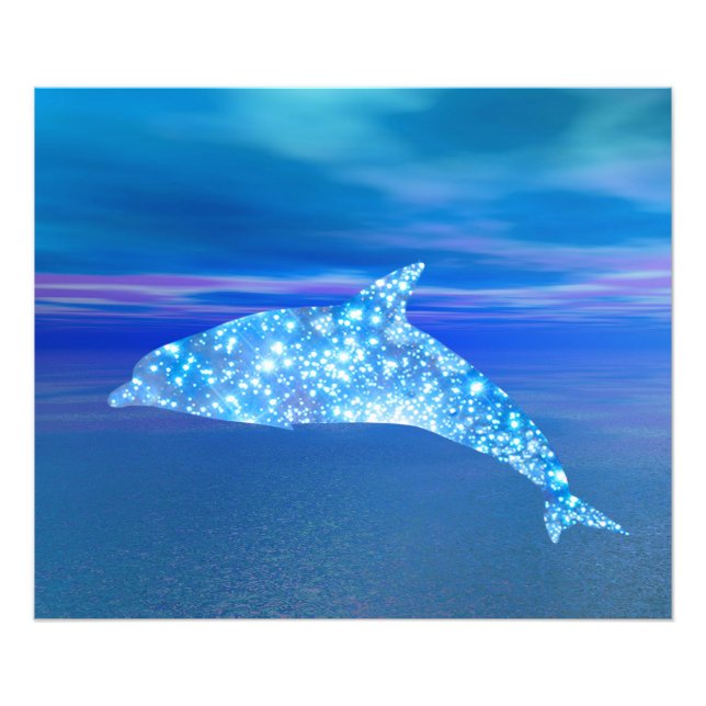 Impression Photo Star Dolphin (Devant)