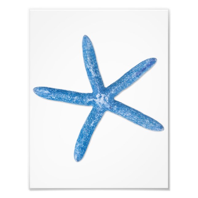Impression Photo Starfish bleu (Devant)
