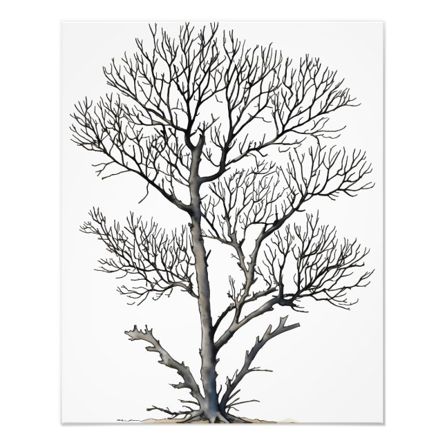 Impression Photo Stark Beauty : Arbre Noir et Blanc Art Mur (Devant)