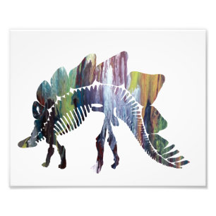 Impression Photo Stegosaurus