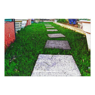 Impression Photo Stepping Stones par Shirley Taylor