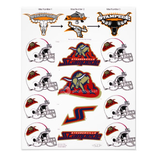 Impression Photo Steubenville Stampede