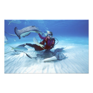 Impression Photo Stingray City, Grand Cayman, îles Caïmans,
