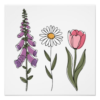 Impression Photo Subtle Anti-Trump - Foxglove Daisy Tulip III