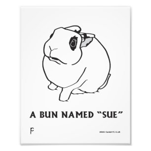 IMPRESSION PHOTO SUE