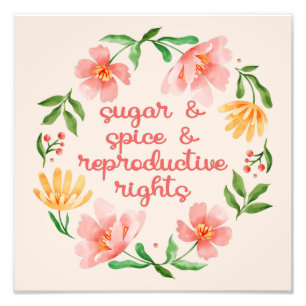 Impression Photo Sugar & Spice & Droits Reproductifs III
