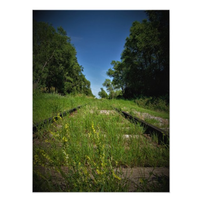 Impression Photo "Suivi et terrain" (Devant)