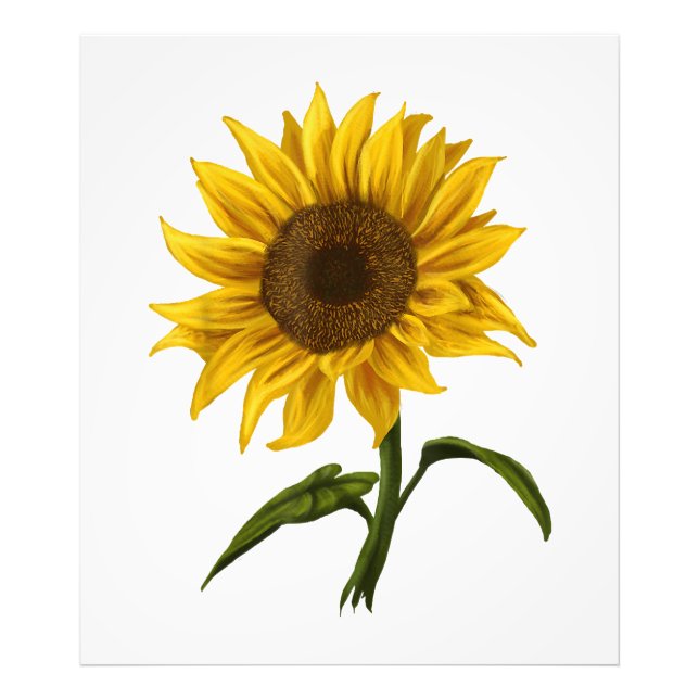 Impression Photo Sunflower Sunshine Floral Aquarelle Fleur (Devant)