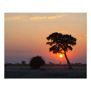 Impression Photo Sunrise africaine
