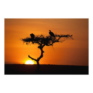 Impression Photo Sunrise at the Masai Mara, Kenya