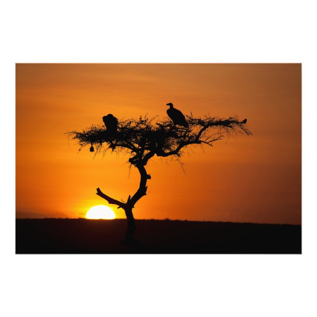 Impression Photo Sunrise at the Masai Mara, Kenya (Devant)