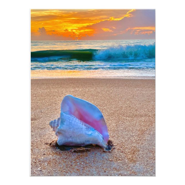 Impression Photo Sunrise Shell (Devant)