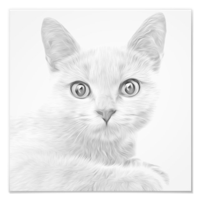 Impression Photo SUPER CUTE Kitty Portrait (Devant)
