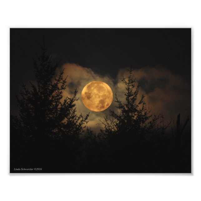 Impression Photo Super Moon 8X10 11-14-16 (Devant)