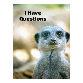 Impression Photo Suricate drôle J'ai des questions Humour animal