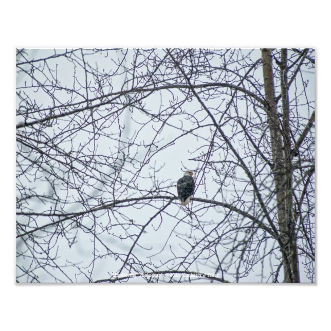 Impression Photo Surveillance (Devant)