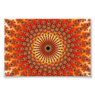 Impression Photo Survie - fractale