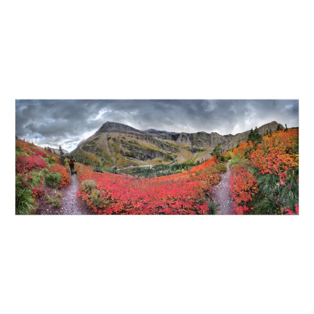Impression Photo Swiftcurrent Pass Trail - Parc national des Glacie (Devant)