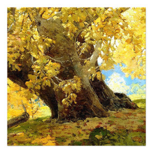 Impression Photo Sycomore en automne par Edgar Payne