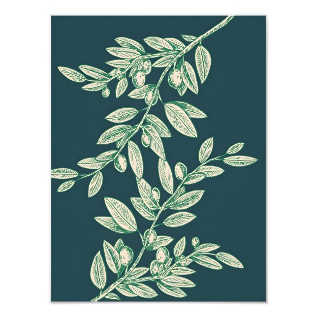 Impression Photo Symbole de Paix : Branche d'Olivier avec des Olive (Devant)