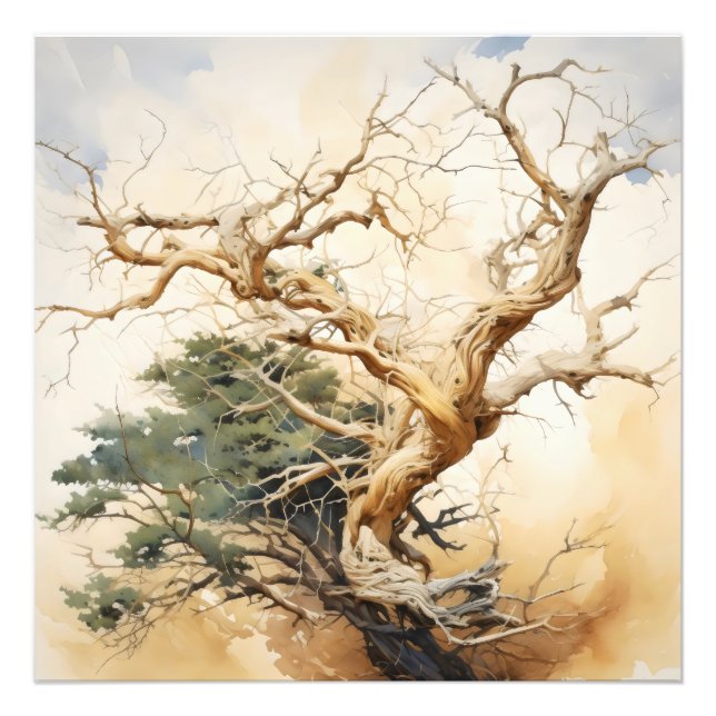 Impression Photo Symbolisme de l'arbre Abstrait (Devant)