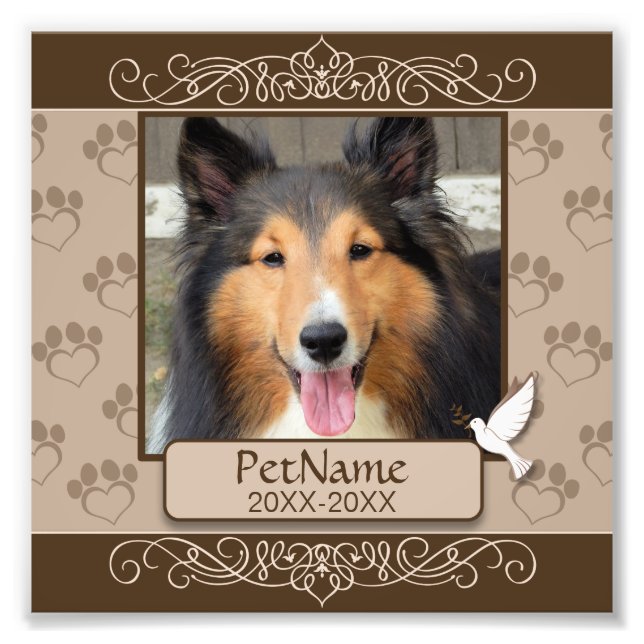 Impression Photo Sympathie personnalisée pour animal de compagnie B (Devant)