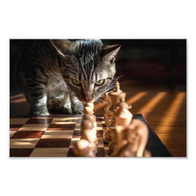 Impression Photo Tabby Cat Jouer Aux Échecs (Devant)