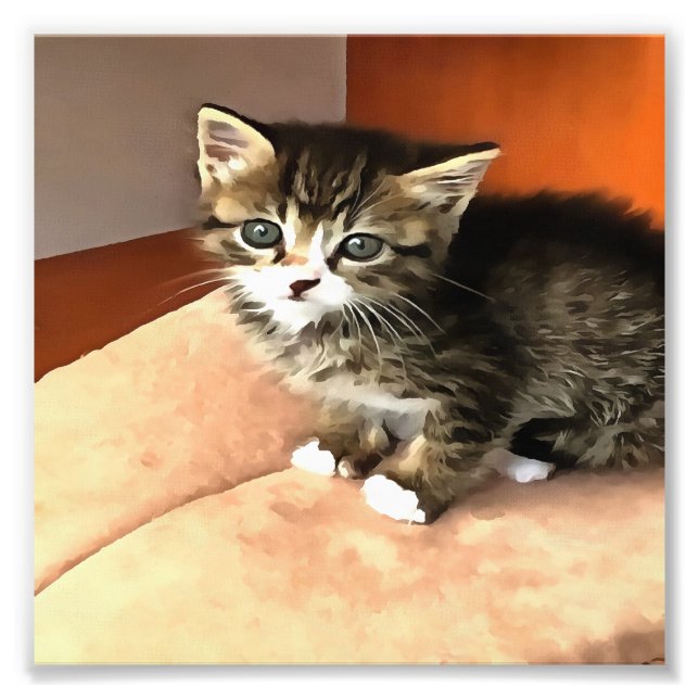 Impression Photo Tabby Cat Kitten Portrait pour animaux (Devant)