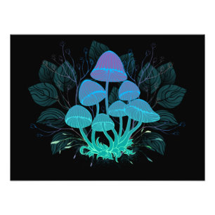 Impression Photo Tabourets dans Bushes