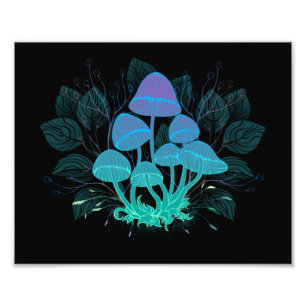 Impression Photo Tabourets dans Bushes