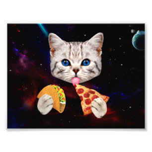 Impression Photo Taco, Chat et pizza