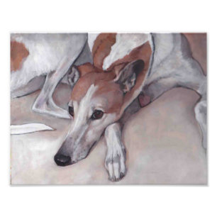 Impression Photo Tan and White Greyhound Dog Art Imprimer