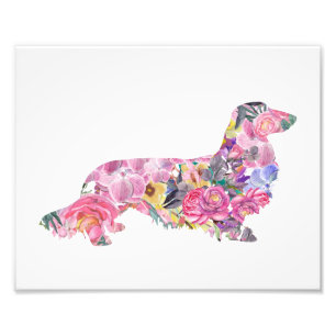 Impression Photo Teckel aux cheveux longs