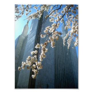 Impression Photo Temple DC
