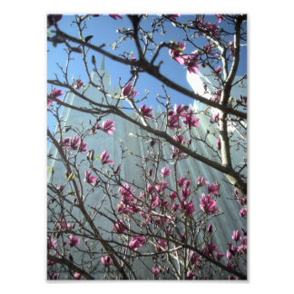 Impression Photo Temple DC en Fleurs roses