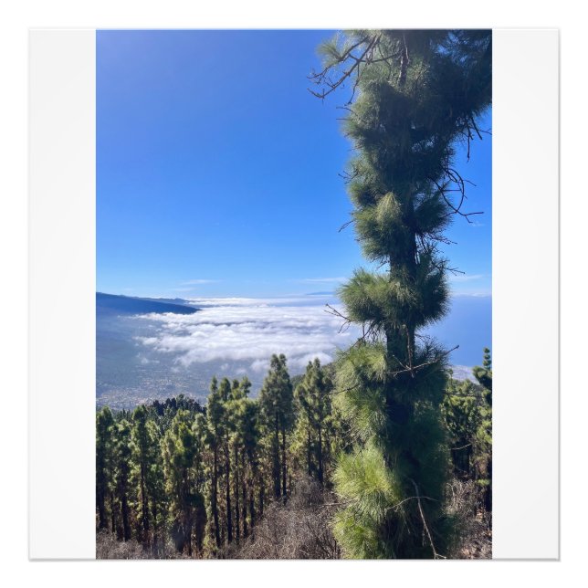 Impression Photo Tenerife bliss.. (Devant)