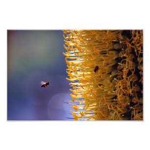 Impression Photo Terrasse de la ville