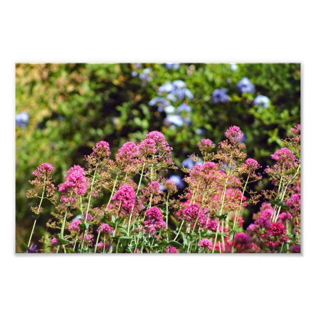 Impression Photo Terrasse de la ville (Devant)