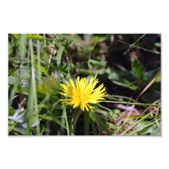 Impression Photo Terrasse de la ville (Devant)