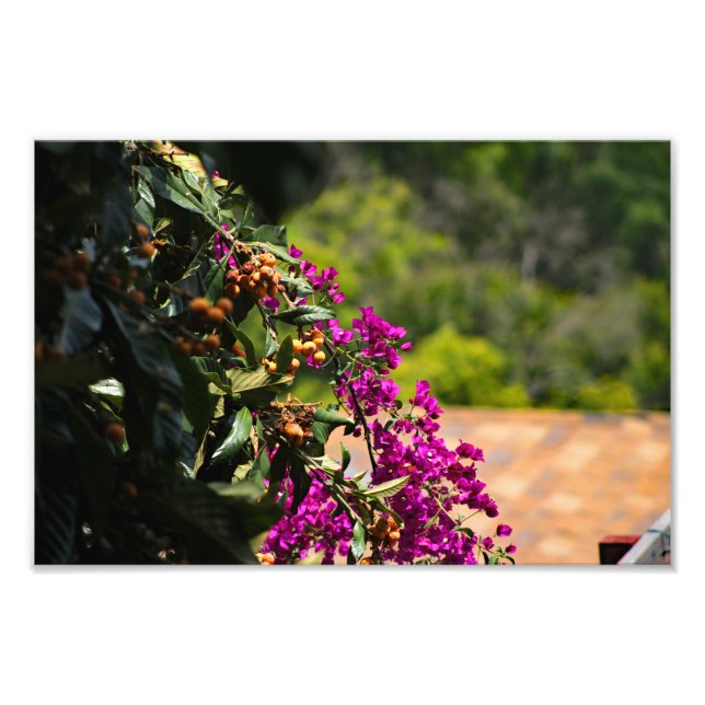 Impression Photo Terrasse de la ville (Devant)