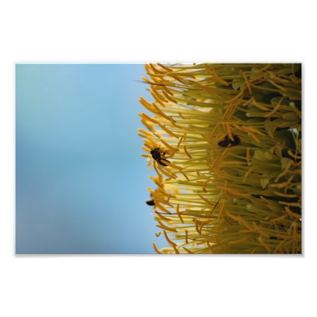 Impression Photo Terrasse de la ville (Devant)