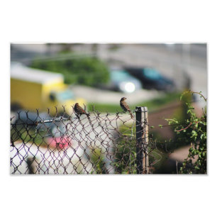 Impression Photo Terrasse de la ville