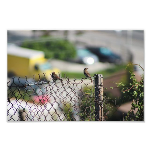 Impression Photo Terrasse de la ville (Devant)